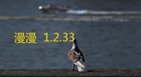 漫漫  1.2.33